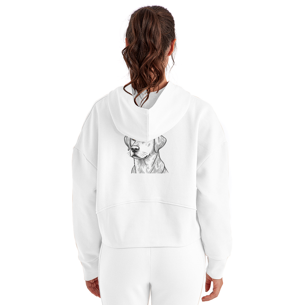 Women's Fine Line Labrador Graphic Half Zip Cropped Hoodie with Logo - white